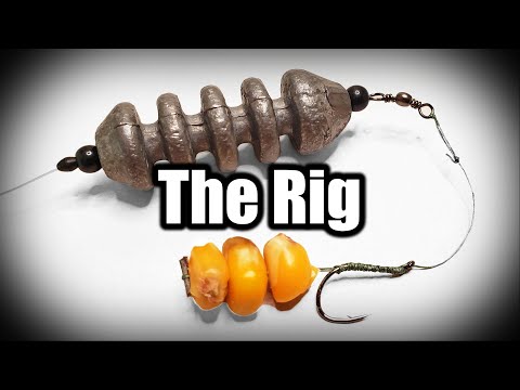 Video Tutorials (Rig & Bait)